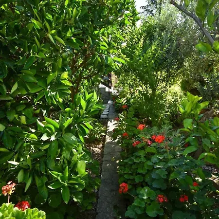 And Frane Appartement *