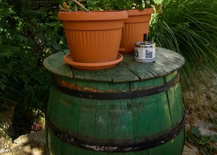 And Frane Apartamento