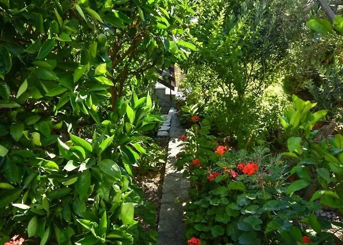 And Frane Apartamento *